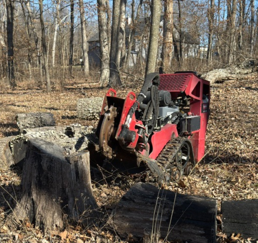 Stump Grinding